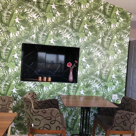 Bachos View Hagia Sophia