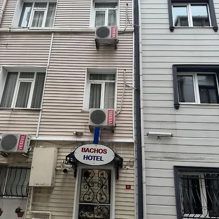 Bachos View Hagia Sophia Isztambul